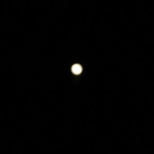 Meet your Posher, Danny